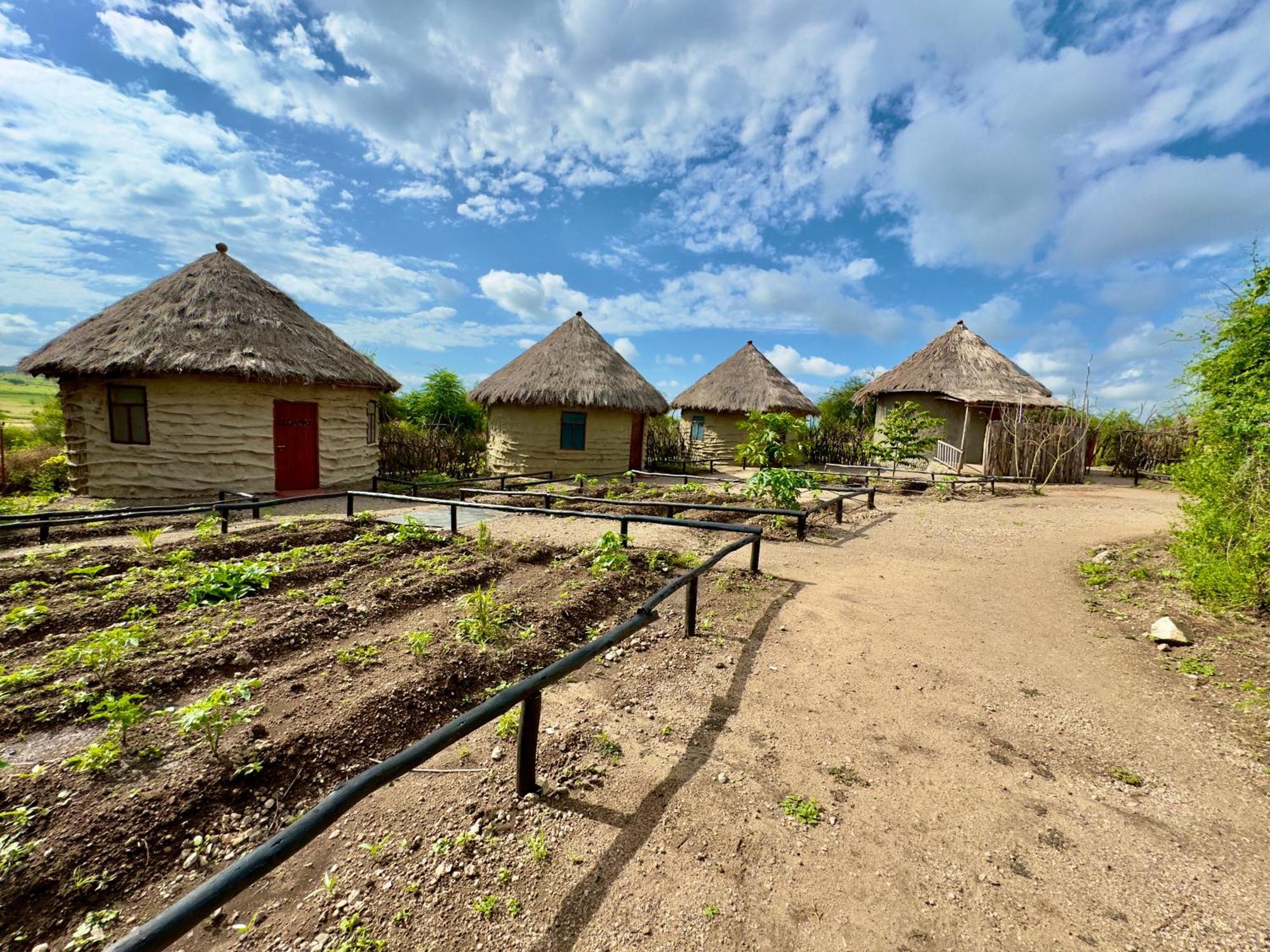 Maasai Eco Boma & Lodge - Experience Maasai Culture Makuyuni Exterior photo