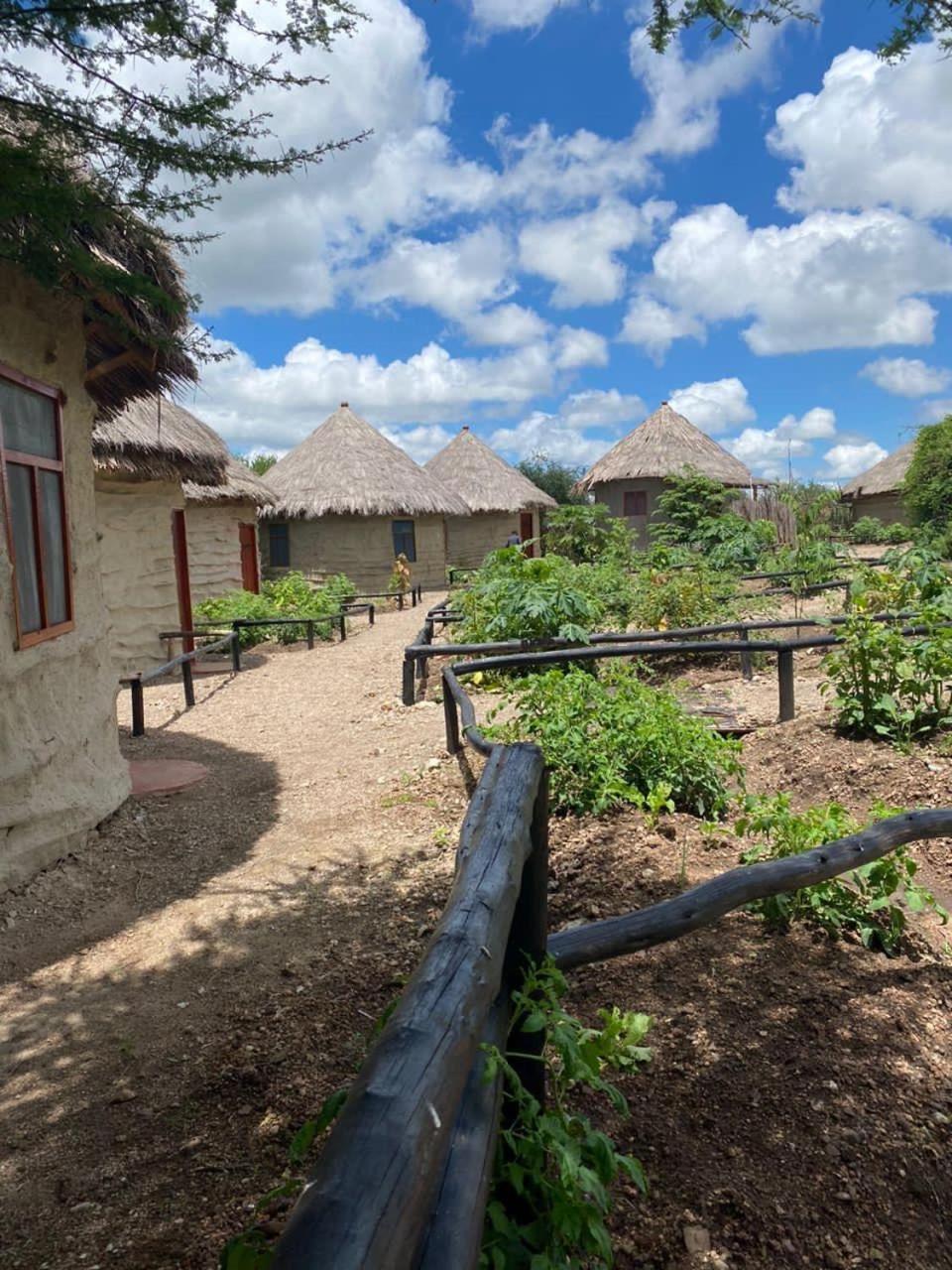 Maasai Eco Boma & Lodge - Experience Maasai Culture Makuyuni Exterior photo